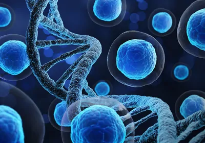 Learn how to efficiently and gently prepare samples for NGS and beyond